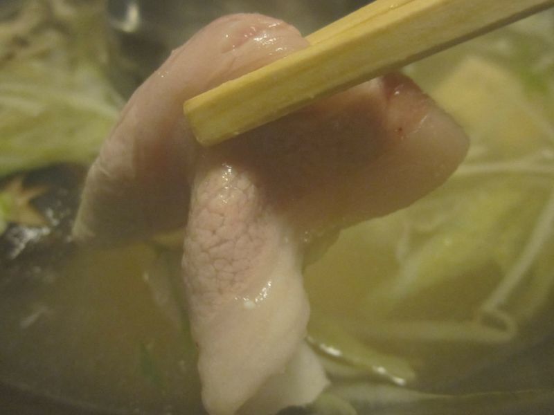 20101129_MiyazakiTrip-22